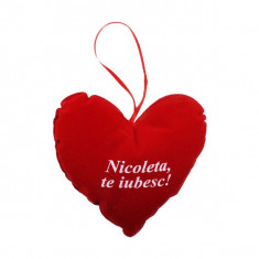 INIMA CU NUME &amp;quot;NICOLETA, TE IUBESC!&amp;quot; foto