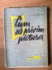 D4 Cum sa privim pictura - A. Kamenski