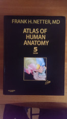 Netter Atlas of Human Anatomy, Professional Edition (5th edition) foto