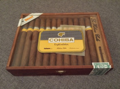 cohiba esplendidos foto