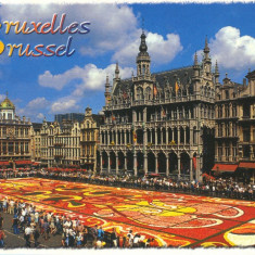Carte postala BE006 Bruxelles - Market Place, Flower carpet - necirculata [5]