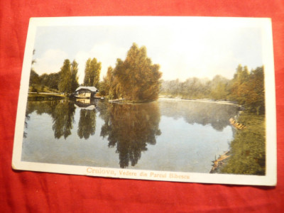 Ilustrata clasica - Craiova - Parcul Bibescu ,inc.sec.XX ,Ed.Maier si Stern foto