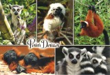 Carte postala BE024 Pairi Daiza - necirculata [5], Belgia