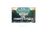 Carte postala FR014 Paris - Avenue des champs Elysees - necirculata [5], Franta