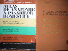 Atlas de anatomie a pasarilor domestice - Ghetie foto