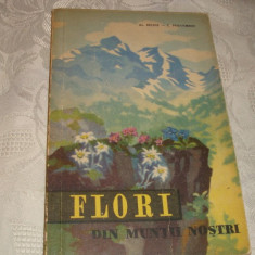Beldie / Pridvornic - Flori din muntii nostri - 1959 - planse color