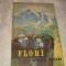 Beldie / Pridvornic - Flori din muntii nostri - 1959 - planse color