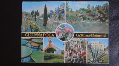 Vedere/Carte postala - Cluj Napoca - Gradina Botanica foto