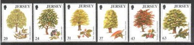 JERSEY - 1997, copaci, nestampilate, MNH foto