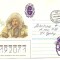 INTREG POSTAL 4827 URSS/RUSIA, FILATELIE TEMATICA POLARA, PLIC OCAZIONAL, DATAT 06.02.1987, TIMBRU IMPRIMAT, PEISAJ POLAR, HARTI ,STAMPILA SPECIALA.