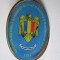 INSIGNA ASOC.NAT. A CADRELOR MILITARE IN REZERVA SI IN RETRAGERE DIN M.A.I. 1991