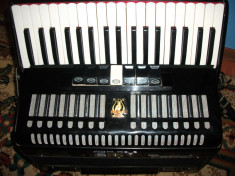 acordeon parrot foto