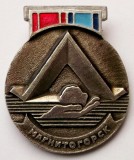 T1 INSIGNA RUSIA URSS MAGNITOGORSK PAMIATNIK PALATKA 1966 - 42 x 36 mm **