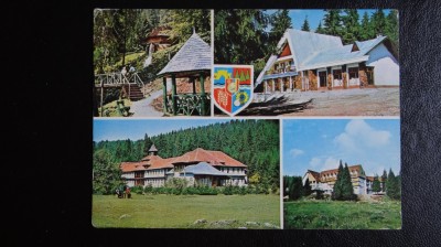 Vedere/Carte postala - RPR - Stina de vale - intreg postal foto