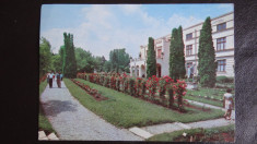 Vedere/Carte postala - RPR - Cluj napoca - Gradina botanica foto