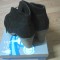 bOTINE