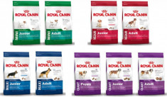 Royal Canin foto