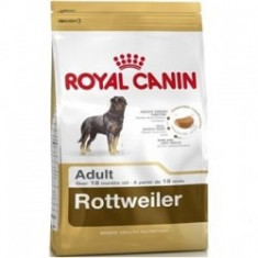 Royal Canin Rottweiler Adult 12 Kg foto