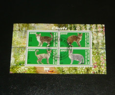 Colita stampilata - NATURA - ANIMALE - Pisici - BURUNDI - 2011 - 2+1 gratis toate produsele la pret fix - RBK7766 foto