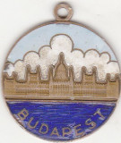 Medalie Budapesta - Budapest