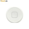 Home button alb iPad Mini