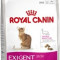 Royal Canin Exigent Savour 10 Kg