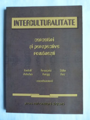 CARTE INTERCULTURALITATE, CERCETARI SI PERSPECTIVE ROMANESTI, CLUJ, 2002 foto