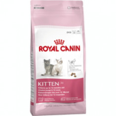 Royal Canin Kitten 10 Kg foto