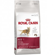 Royal Canin Fit 15 Kg foto