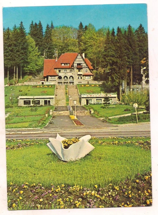 % carte postala (ilustrata)-PREDEAL