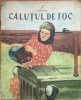 CALUTUL DE FOC - L. Diakonov