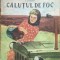 CALUTUL DE FOC - L. Diakonov
