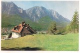 % carte postala (ilustrata)-POIANA TAPULUI-Vedere din Bucegi, Circulata, Printata