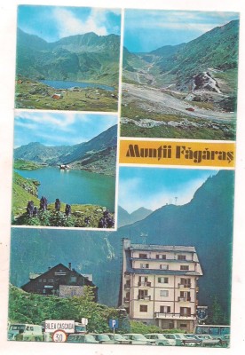 % carte postala (ilustrata)-MUNTII FAGARAS-colaj foto