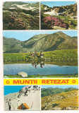 % carte postala (ilustrata)-MUNTII RETEZAT-colaj, Circulata, Printata