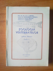 e1 Zoologia vertebratelor-lucrari practice-partea I-Prof .Dr. Doc . Al.V. Grossu foto