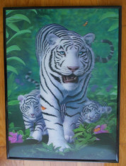 Tablou 3D cu tigri albi foto