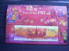 Christmas 2007 anul nou chinezesc fauna porc MI bl.21 MNH foto