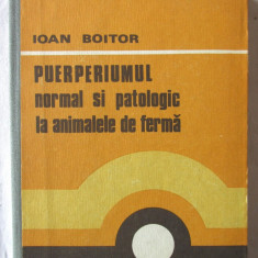 PUERPERIUMUL NORMAL SI PATOLOGIC LA ANIMALELE DE FERMA, Ioan Boitor, 1984
