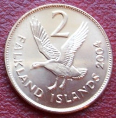 Falkland Islands 2 pence 2004 UNC pasare foto