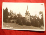 Ilustrata Sinaia - Castel Peles , interbelica, Necirculata, Fotografie