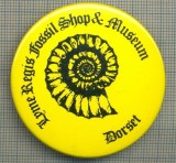 1899 INSIGNA - LYME REGIS FOSSIL SHOP &amp; MUSEUM - DORSET - ANGLIA -starea care se vede