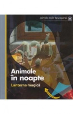 Animale In Noapte. Lanterna Magica. Primele Mele Descoperiri foto