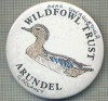 1915 INSIGNA - WILDFOWL TRUST - ARUNDEL - REGATUL UNIT AL MARII BRITANII -starea care se vede
