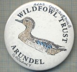 1915 INSIGNA - WILDFOWL TRUST - ARUNDEL - REGATUL UNIT AL MARII BRITANII -starea care se vede