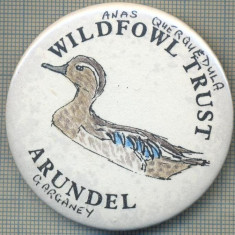 1915 INSIGNA - WILDFOWL TRUST - ARUNDEL - REGATUL UNIT AL MARII BRITANII -starea care se vede