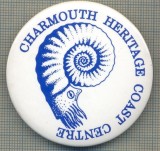 1913 INSIGNA - CHARMOUTH HERITAGE COAST CENTRE -MUZEU DINOZAURI SI FOSILE - MAREA BRITANIE -starea care se vede