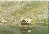CPI (B5051) MUNTII FAGARAS. CABANA BALEA LAC, EDITURA SPORT-TURISM, NECIRCULATA