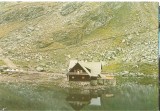 CPI (B5051) MUNTII FAGARAS. CABANA BALEA LAC, EDITURA SPORT-TURISM, NECIRCULATA, Fotografie