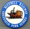 1934 INSIGNA - BLUEBELL RAILWAY -SHEFFIELD PARK SUSSEX - REGATUL UNIT AL MARII BRITANII -TEMATICA TRENURI SI CAI FERATE -starea care se vede